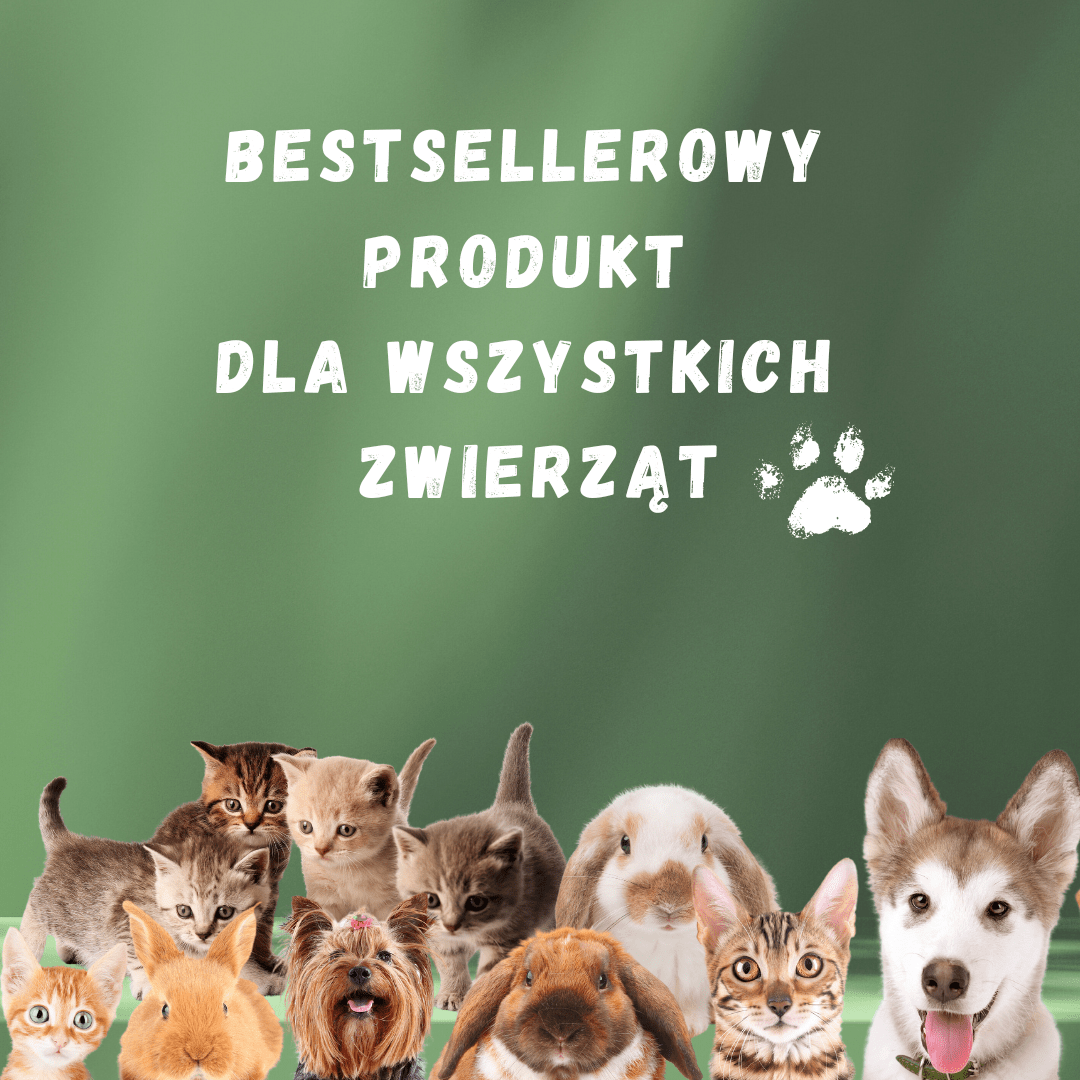 ANTI URINE CLEANER - UZUPEŁNIENIE - Isokor